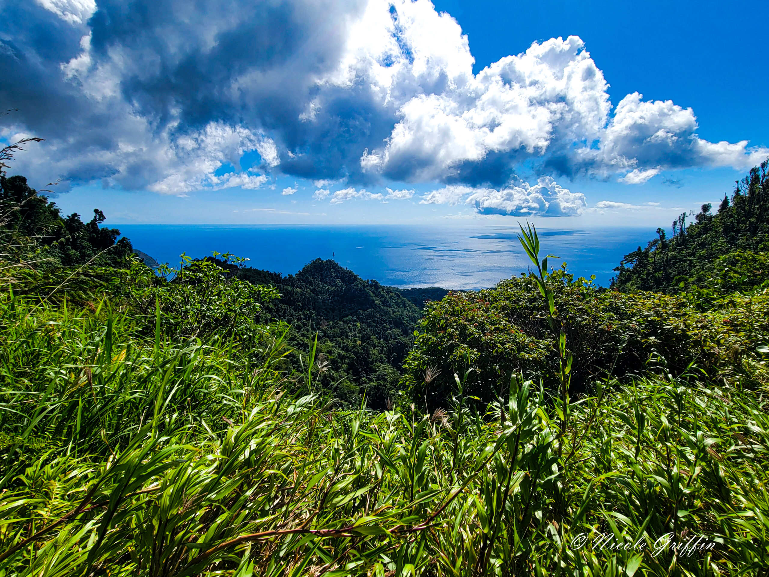 sunlit view of the ocean