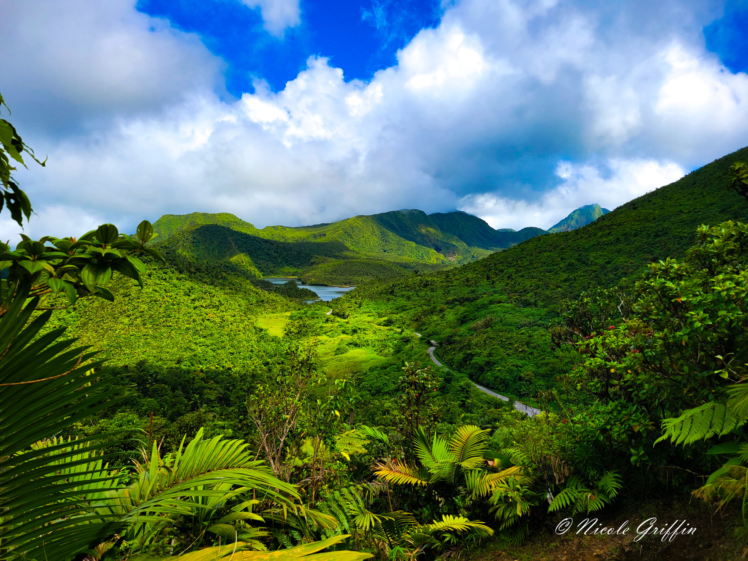 lush green mountains under blue skies