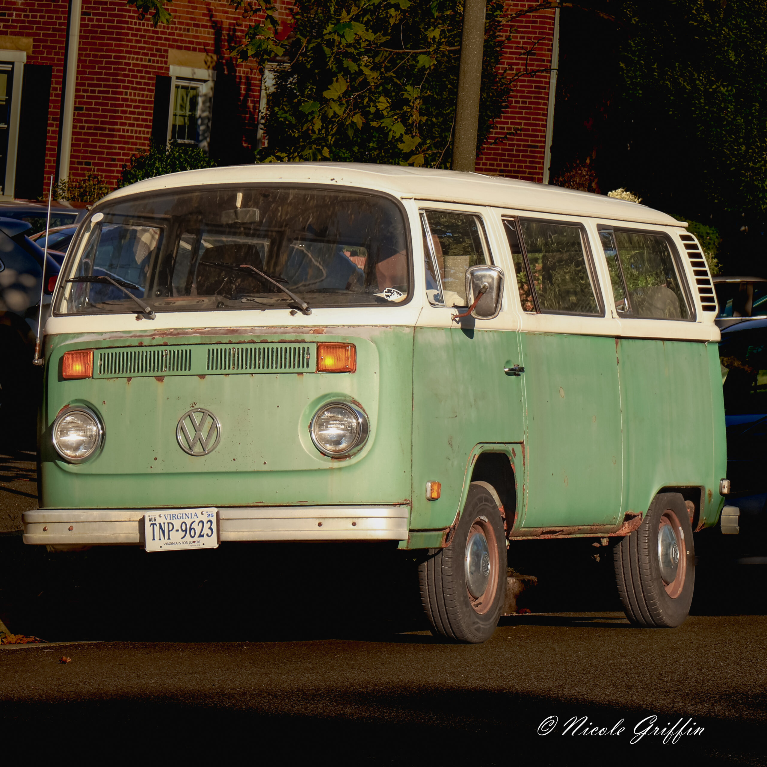 Green Volkswagen Camper Van