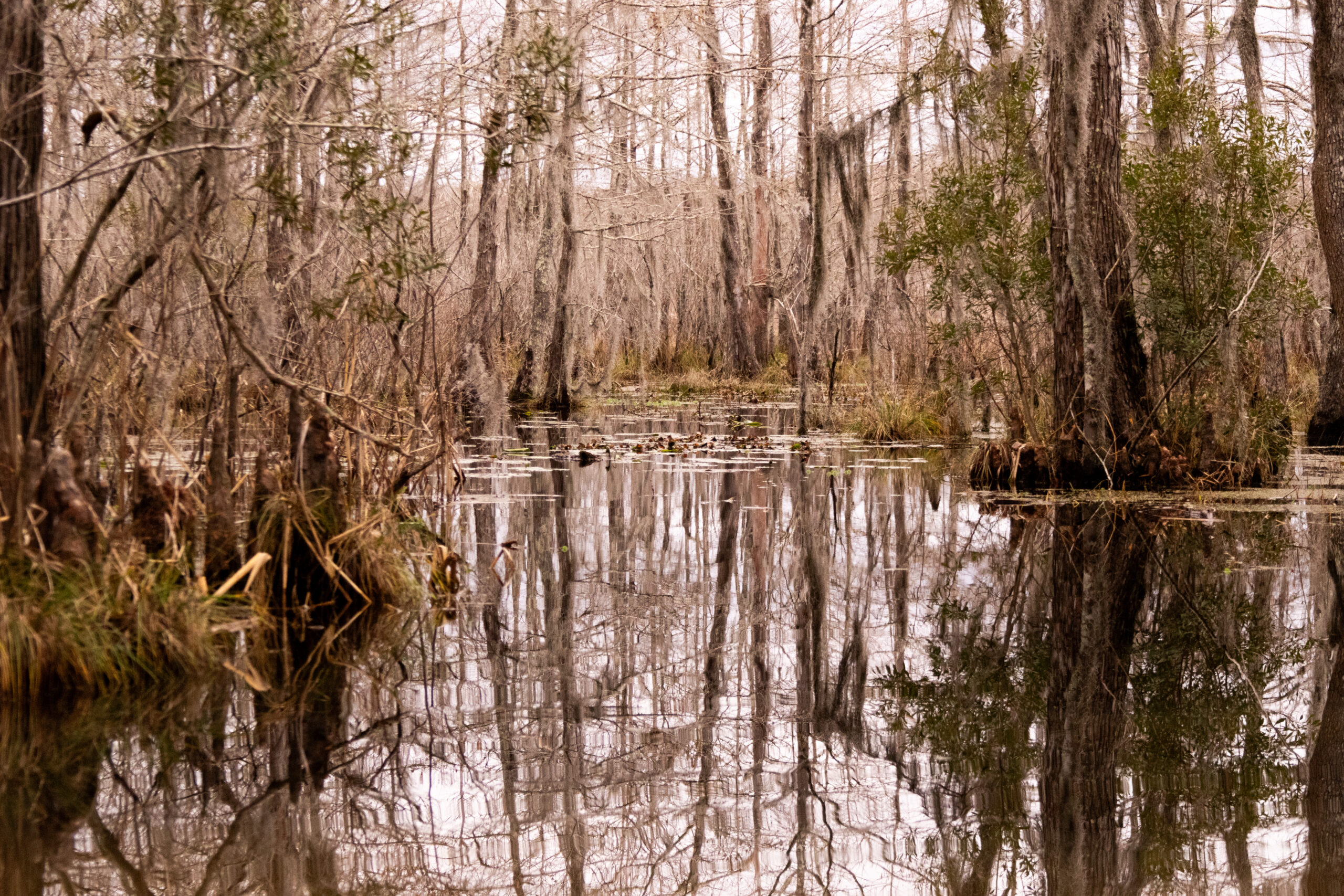 5 things to do in new orleans other than eating and drinking