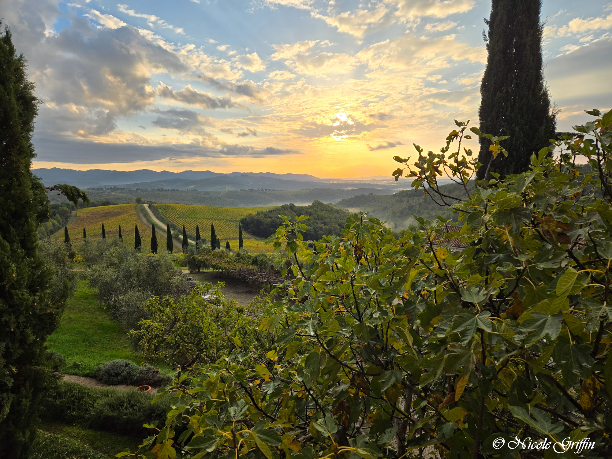 a tuscan dream