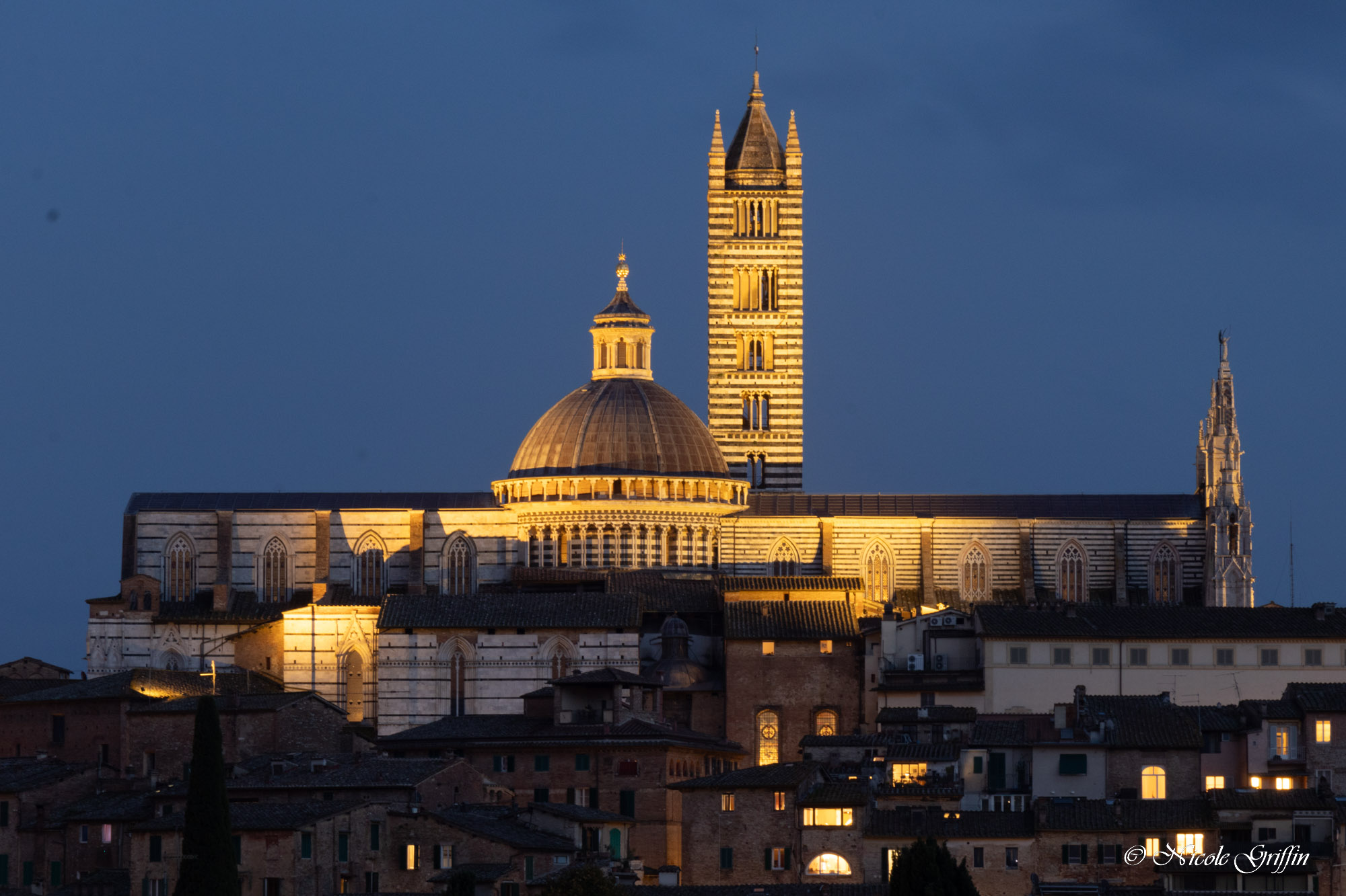 a cathedral lit up at night