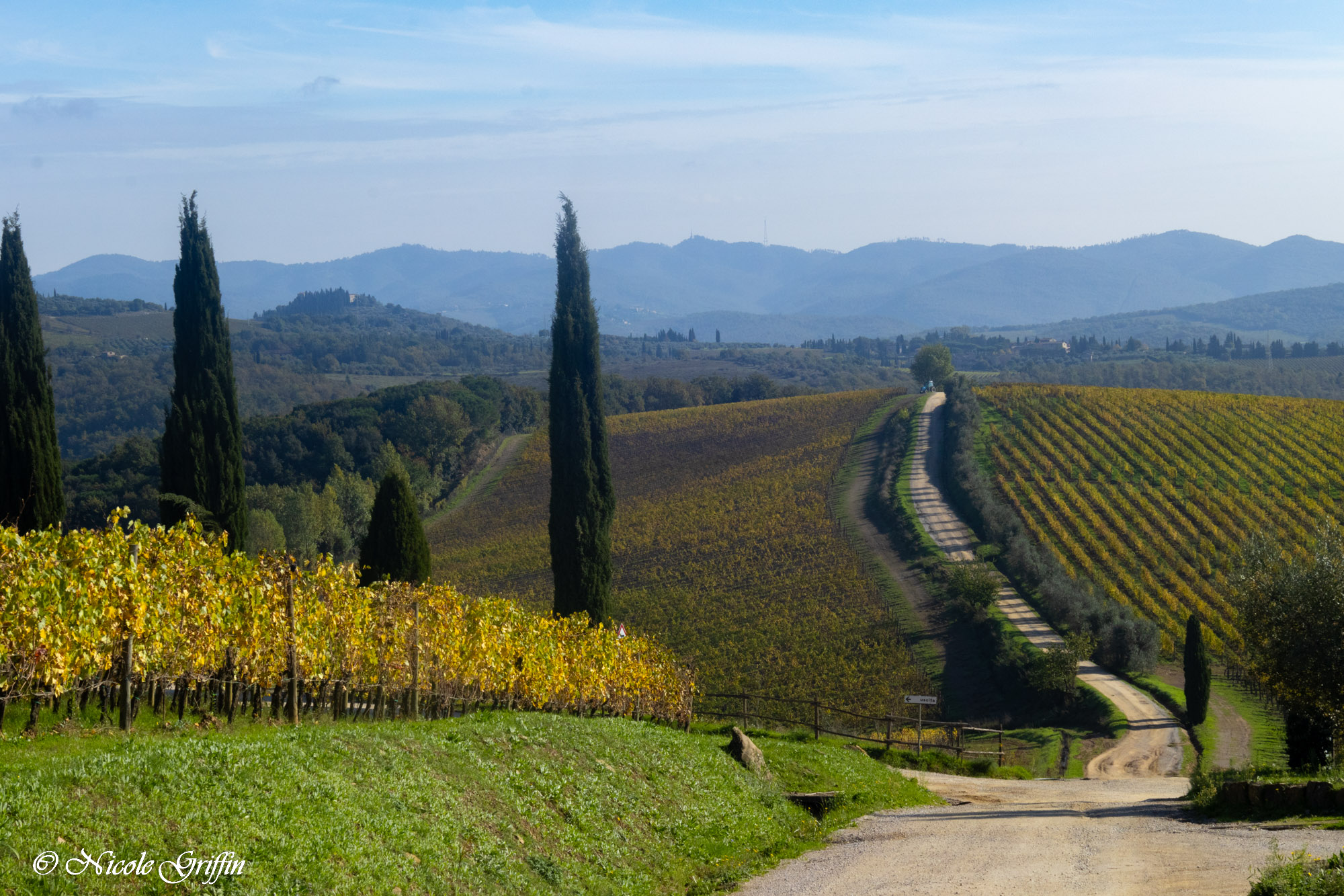 photoessay: under the tuscan sun